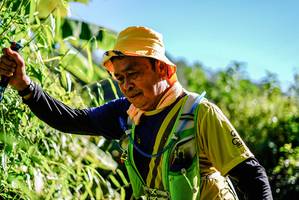 BIB: 
                            <button type="button" onclick="openModal(19300068)" class="btn btn-primary btn-sm float-right btn-popup" data-toggle="modal" data-target=".modal-high-quality">
                        <i class="fas fa-shopping-cart"></i> Add to Cart
                    </button>
                                            <button type="button" onclick="isThisMe(19300068, true)" class="btn btn-success btn-sm float-right btn-popup btn-isme hidden" data-toggle="tooltip" data-placement="bottom" title="นี่คือรูปของคุณใช่ไหม คลิกที่นี่เพื่อเอาเข้าอัลบั้ม">
                        <i class="fas fa-plus"></i> Add to album
                    </button>
                    <button type="button" onclick="isThisMe(19300068, false)" class="btn btn-warning btn-sm float-right btn-popup btn-isnotme hidden">
                        <i class="fas fa-ban"></i> Remove from album
                    </button>